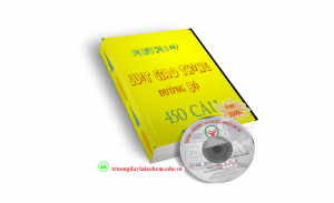450 câu hỏi lý thuyết luật giao thông đường bộ