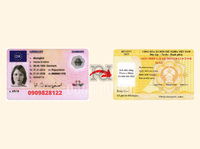 đổi bằng lái xe Đan Mạch sang Việt Nam