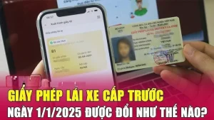 Những điều cần biết khi đổi Giấy phép lái xe sang mẫu mới từ ngày 15/1/2025